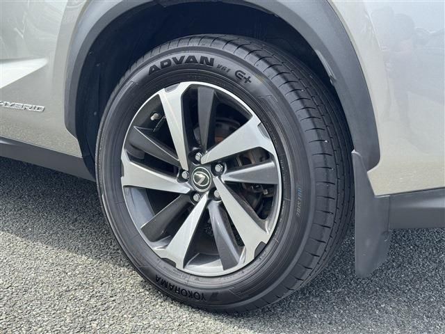 LEXUS NX300h AWD
