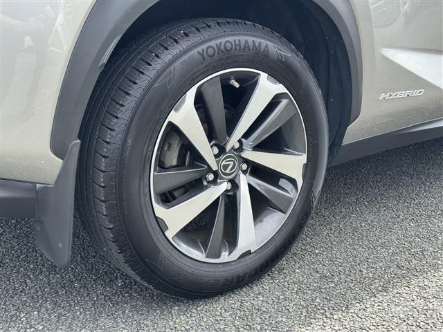 LEXUS NX300h AWD