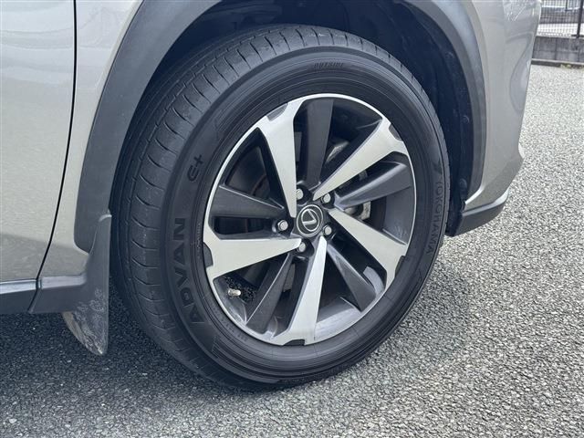 LEXUS NX300h AWD