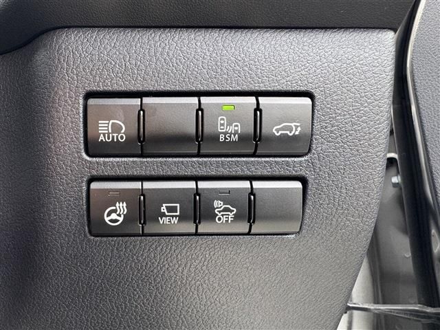 LEXUS NX300h AWD