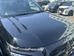 TRITON
