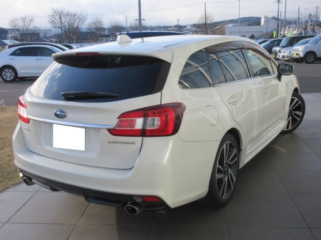 LEVORG