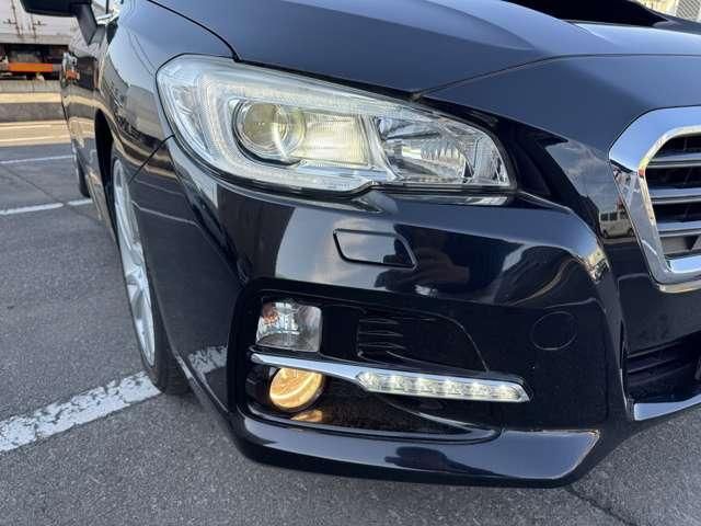 LEVORG