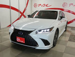 LEXUS ES300h