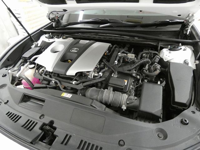 LEXUS ES300h
