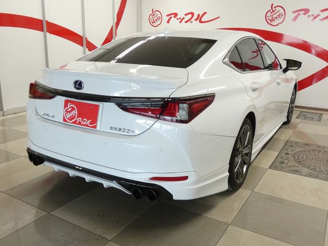 LEXUS ES300h