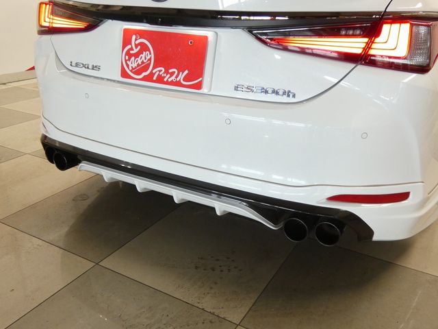 LEXUS ES300h