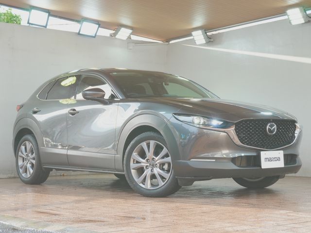 CX-30