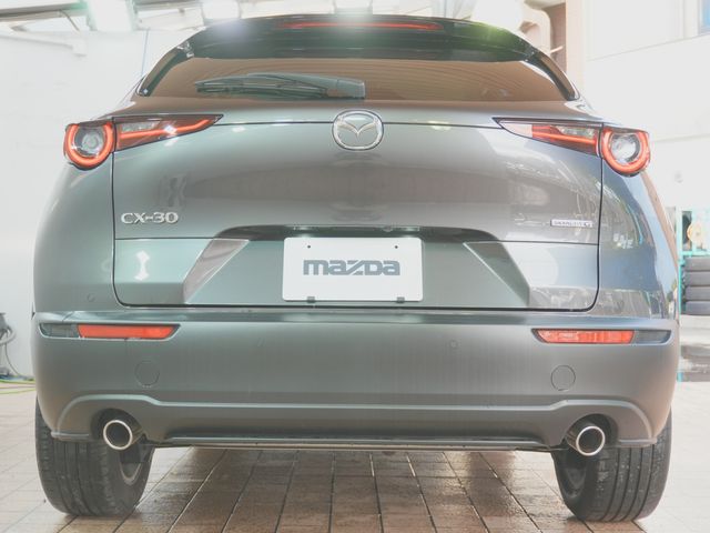 CX-30