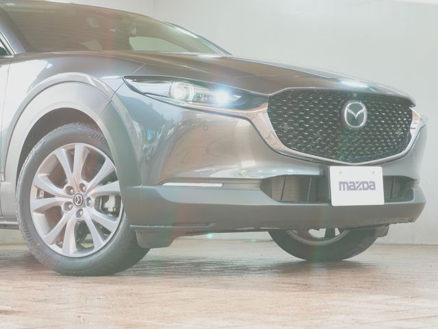 CX-30