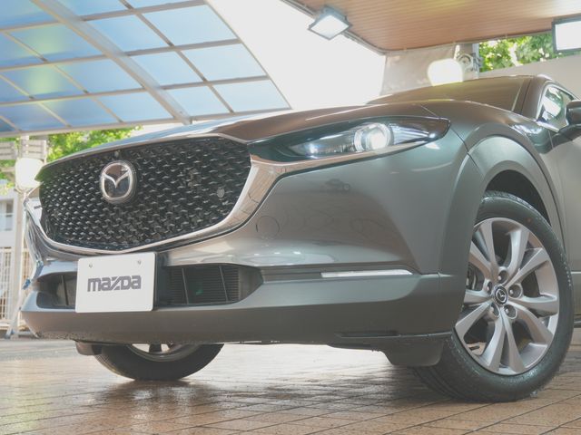 CX-30