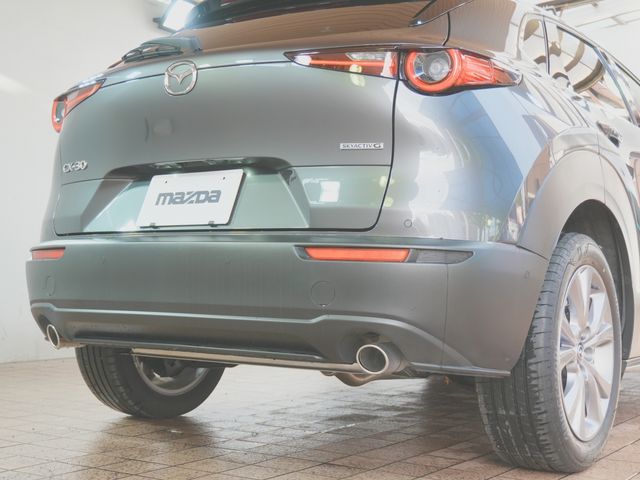 CX-30