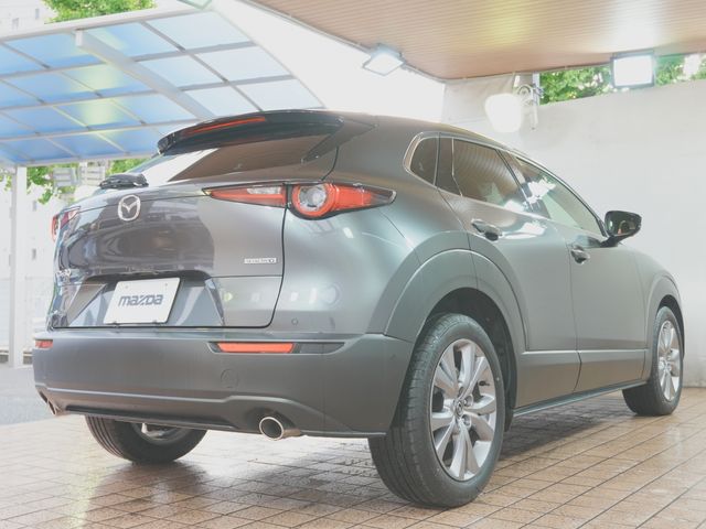CX-30