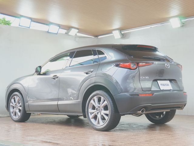 CX-30