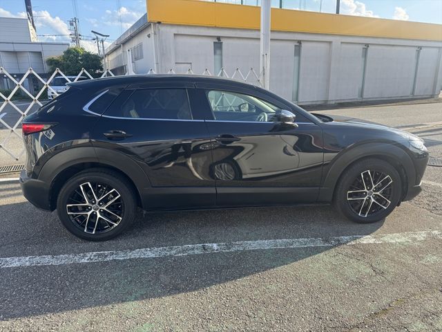 CX-30