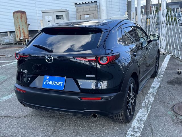 CX-30