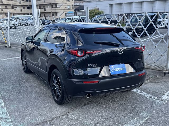 CX-30