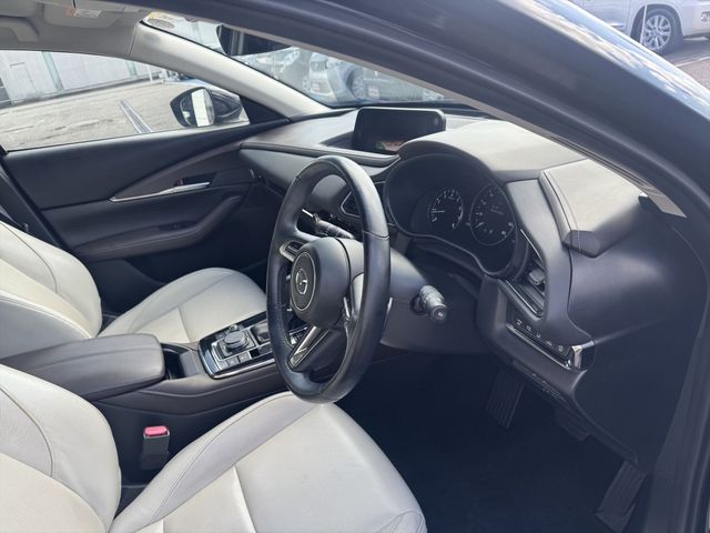 CX-30