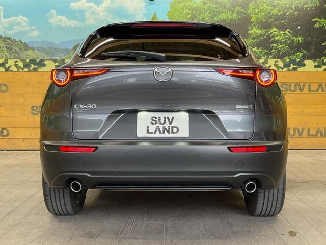 CX-30