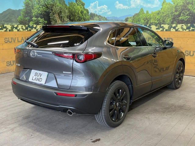 CX-30