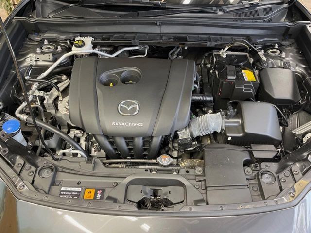CX-30