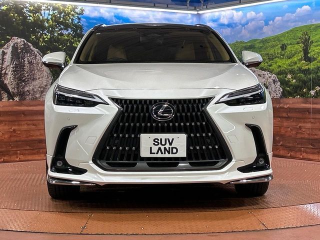 LEXUS NX350h