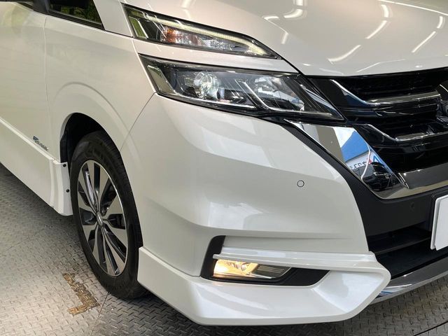 SERENA  S-HYBRID