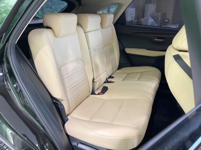 LEXUS NX300h