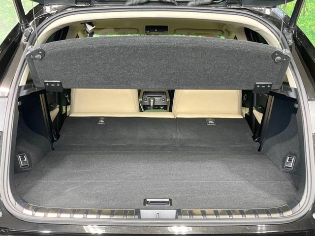 LEXUS NX300h