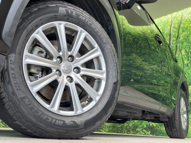 LEXUS NX300h