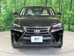 LEXUS NX300h