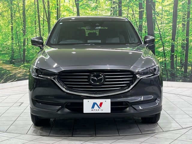 CX-8