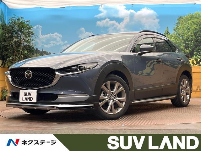 CX-30