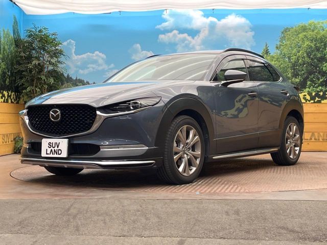 CX-30