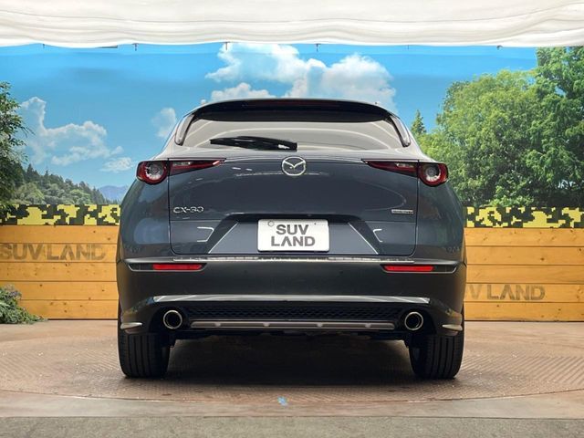 CX-30