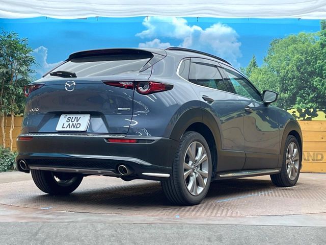 CX-30