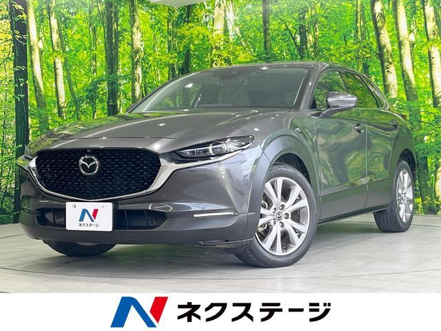 CX-30