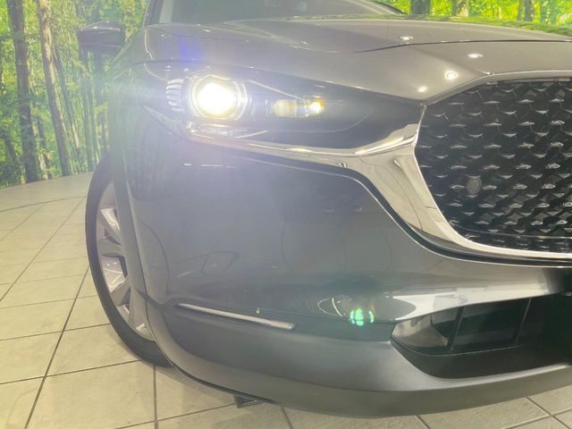 CX-30