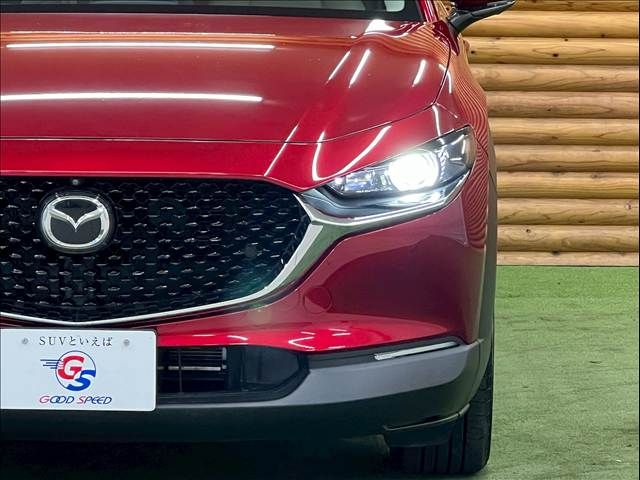 CX-30
