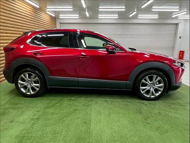 CX-30