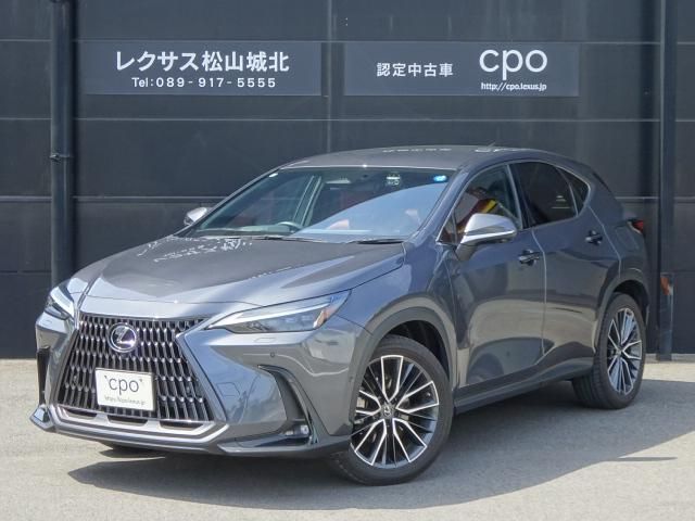 LEXUS NX450h+ AWD