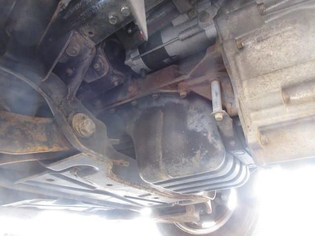 CANTER GUTS