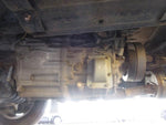 CANTER GUTS