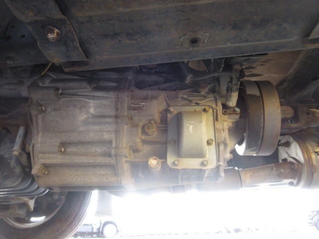 CANTER GUTS