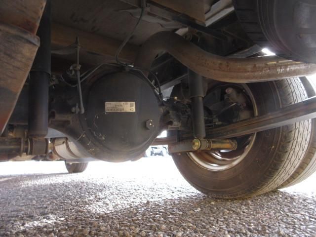 CANTER GUTS