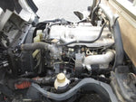 CANTER GUTS