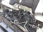 CANTER GUTS
