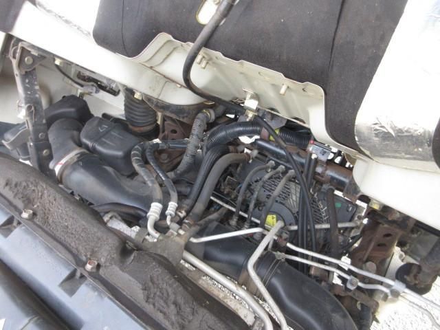 CANTER GUTS
