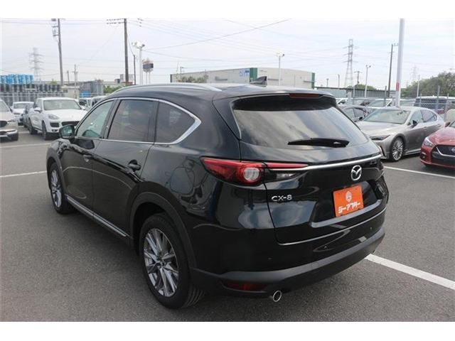 CX-8