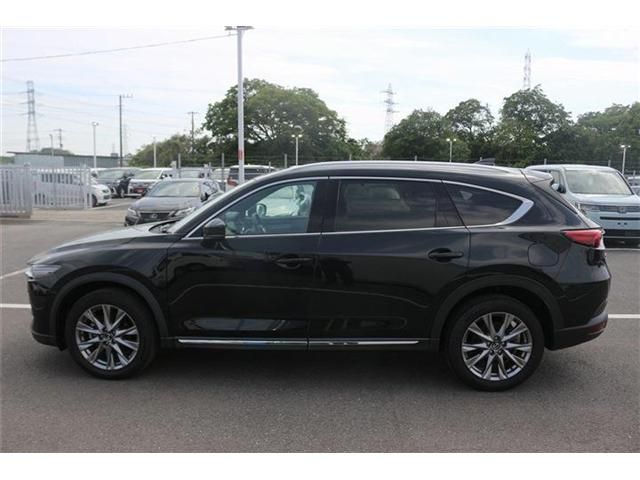 CX-8